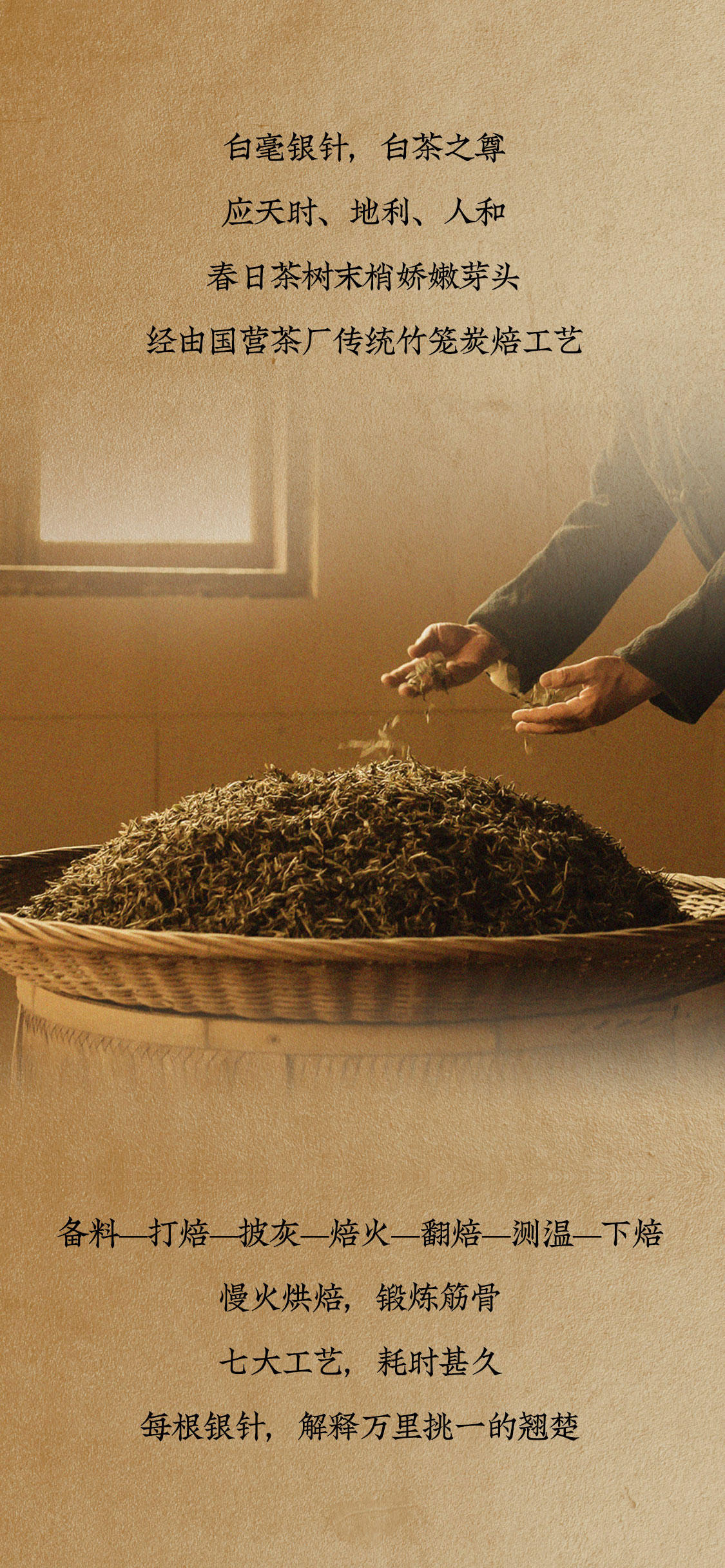 九五至尊2010年白毫银针：金针登场，笑傲江湖(图5)