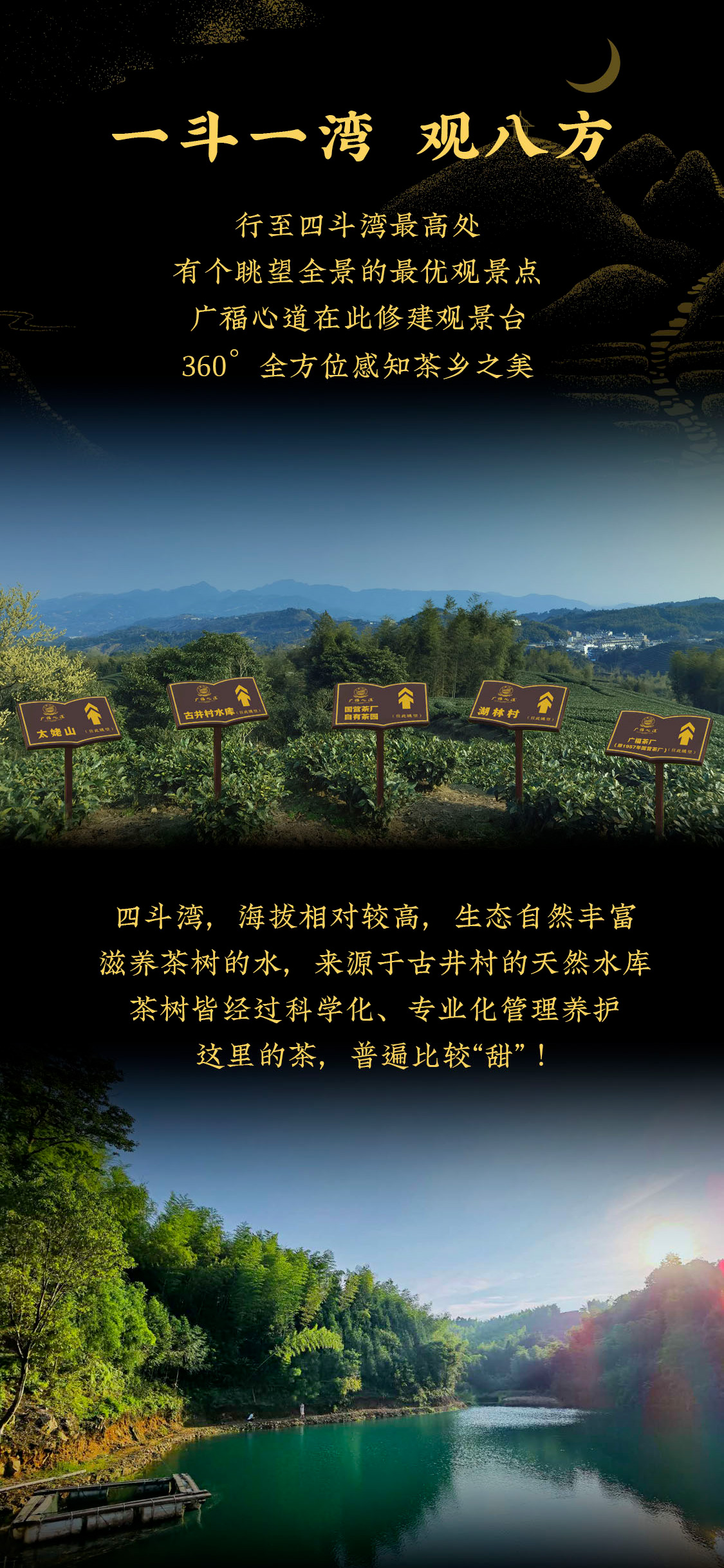 至爱月满湾，源于明星茶村的极致“香郁”|心道测评(图4)