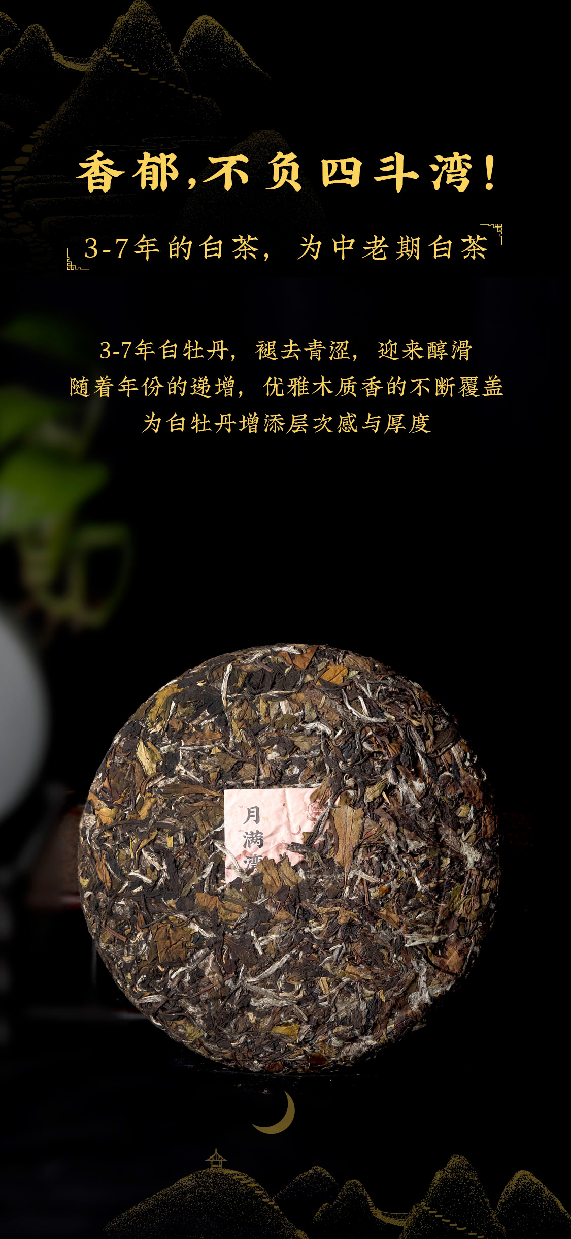 至爱月满湾，源于明星茶村的极致“香郁”|心道测评(图6)