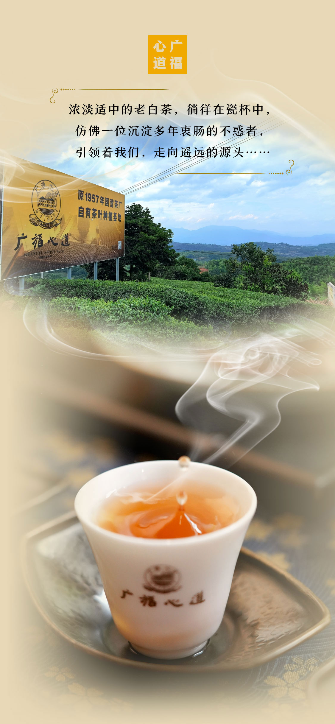 湖林壹号2021：万里茶海绿茫茫，护林护民路漫漫|心道测评(图1)