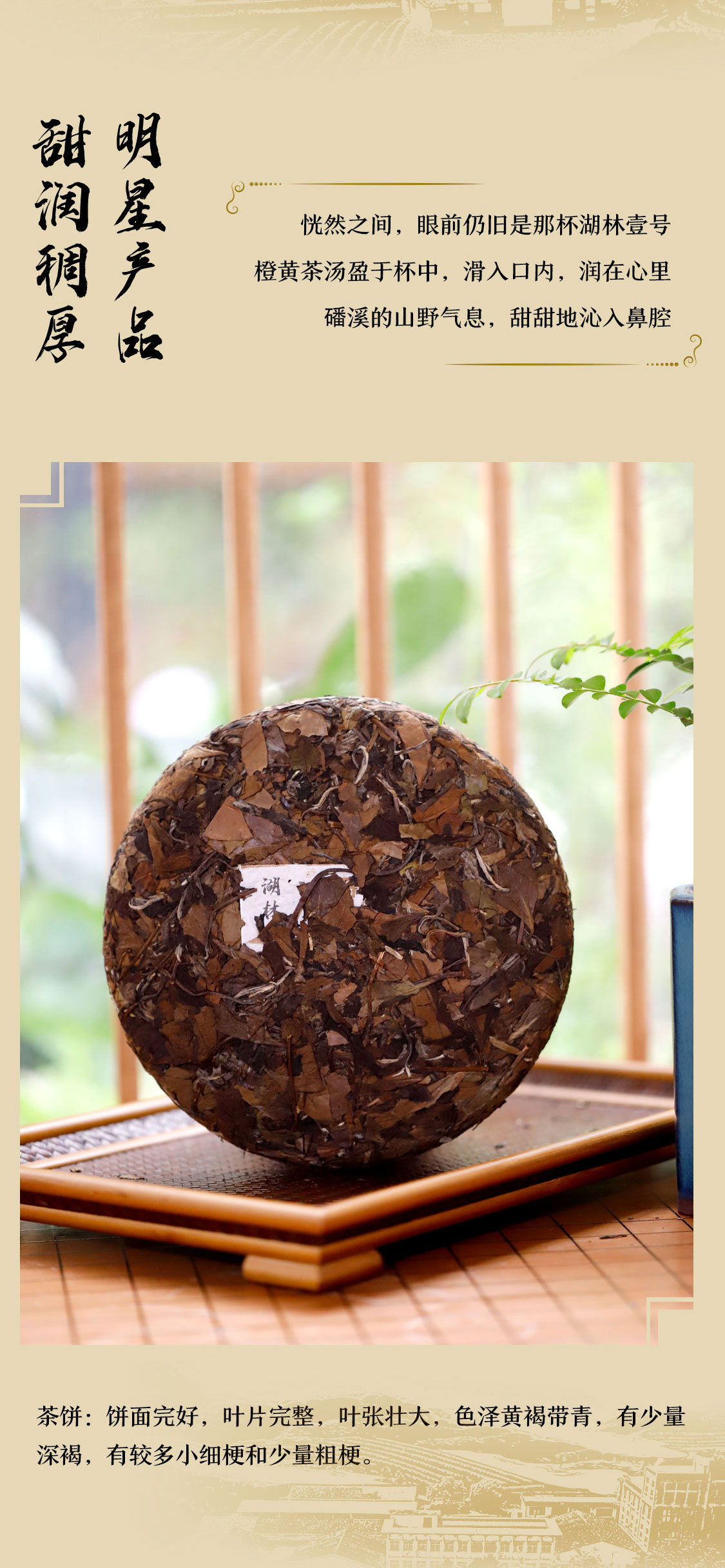 湖林壹号2021：万里茶海绿茫茫，护林护民路漫漫|心道测评(图7)