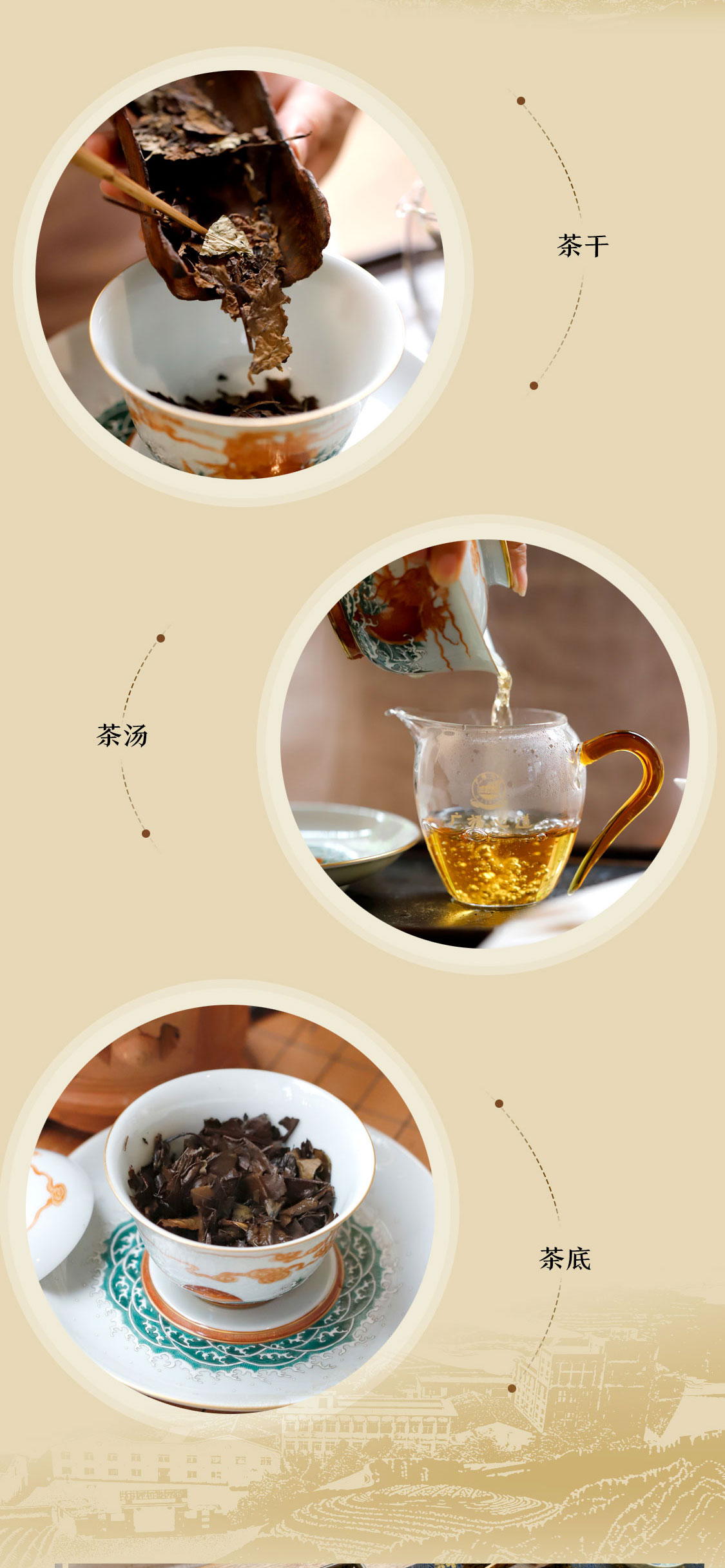 湖林壹号2021：万里茶海绿茫茫，护林护民路漫漫|心道测评(图8)