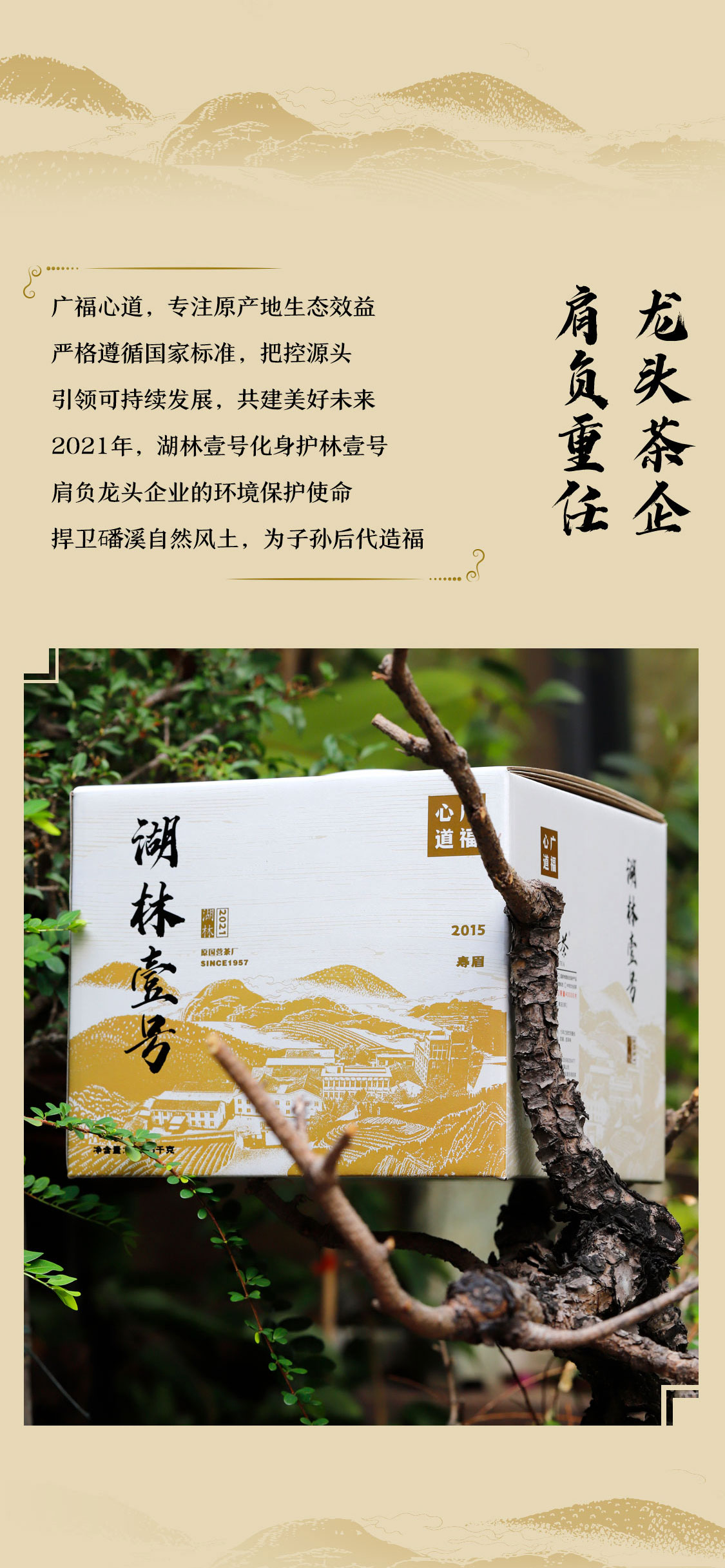湖林壹号2021：万里茶海绿茫茫，护林护民路漫漫|心道测评(图4)