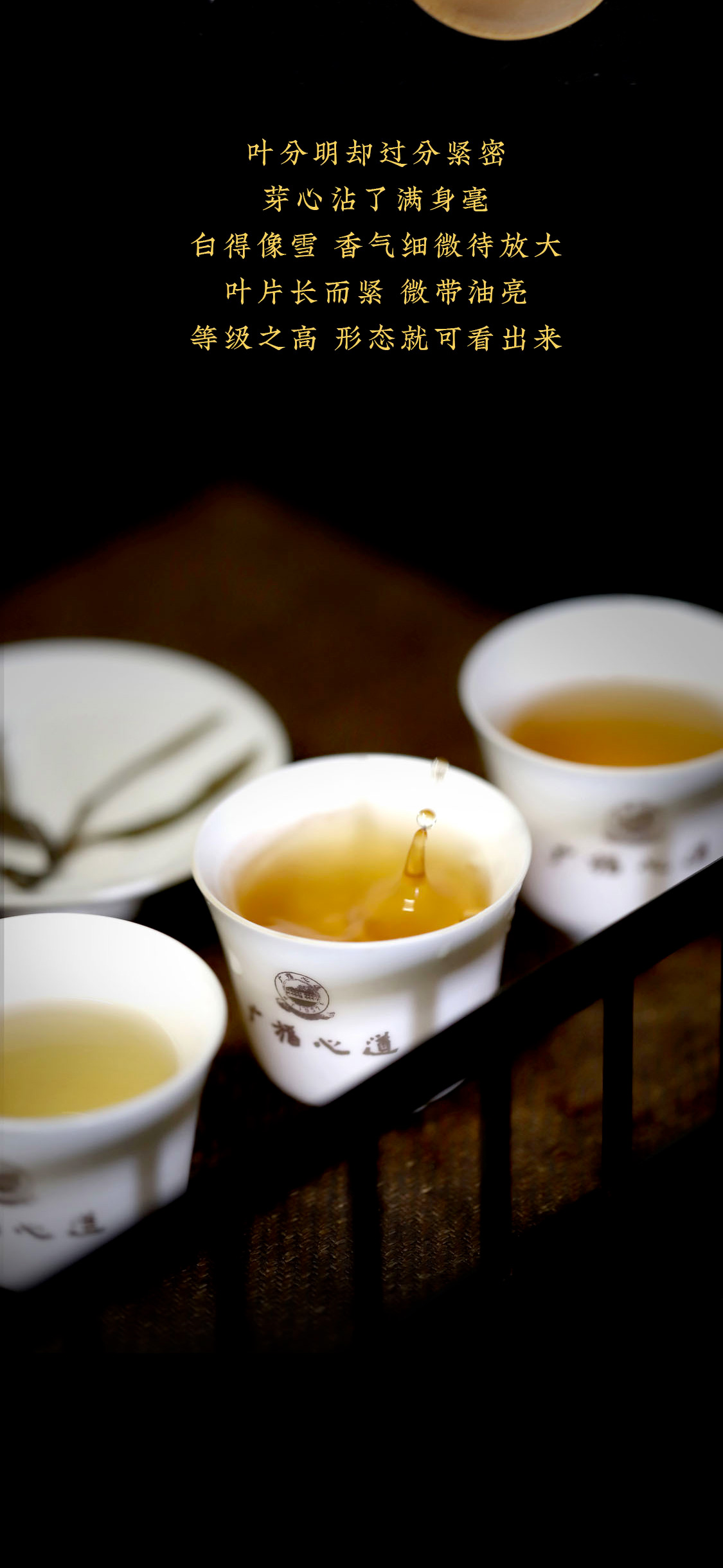 至爱月满湾，源于明星茶村的极致“香郁”|心道测评(图8)