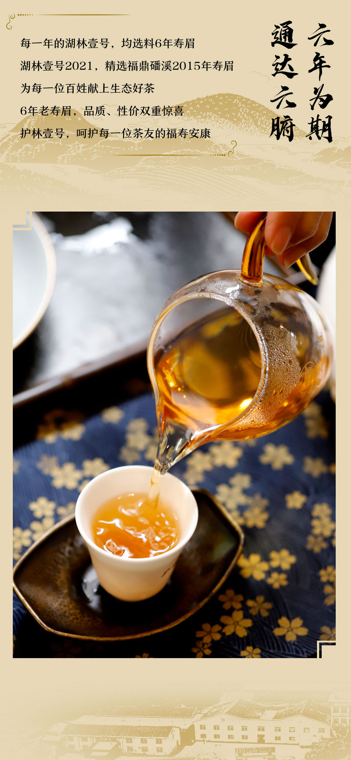 湖林壹号2021：万里茶海绿茫茫，护林护民路漫漫|心道测评(图6)