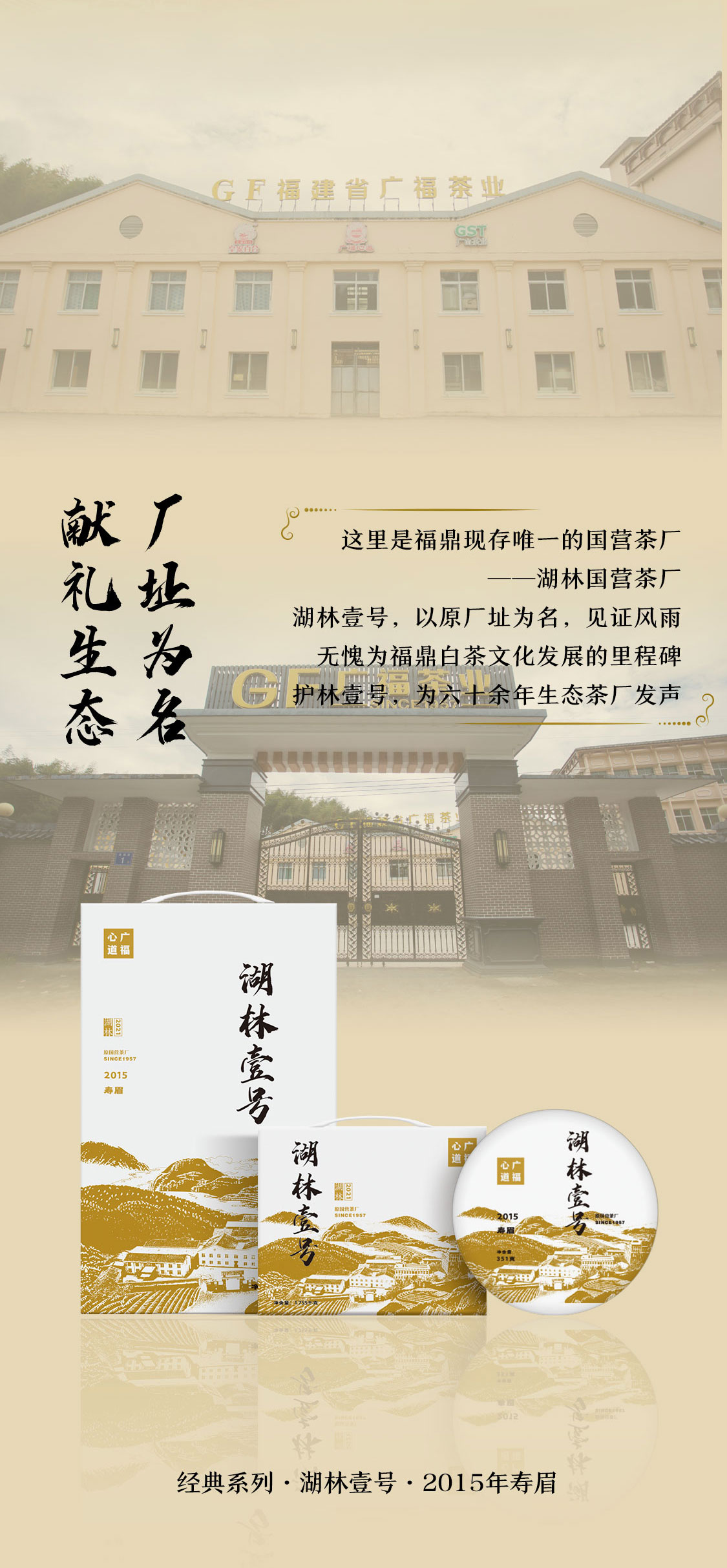 湖林壹号2021：万里茶海绿茫茫，护林护民路漫漫|心道测评(图3)