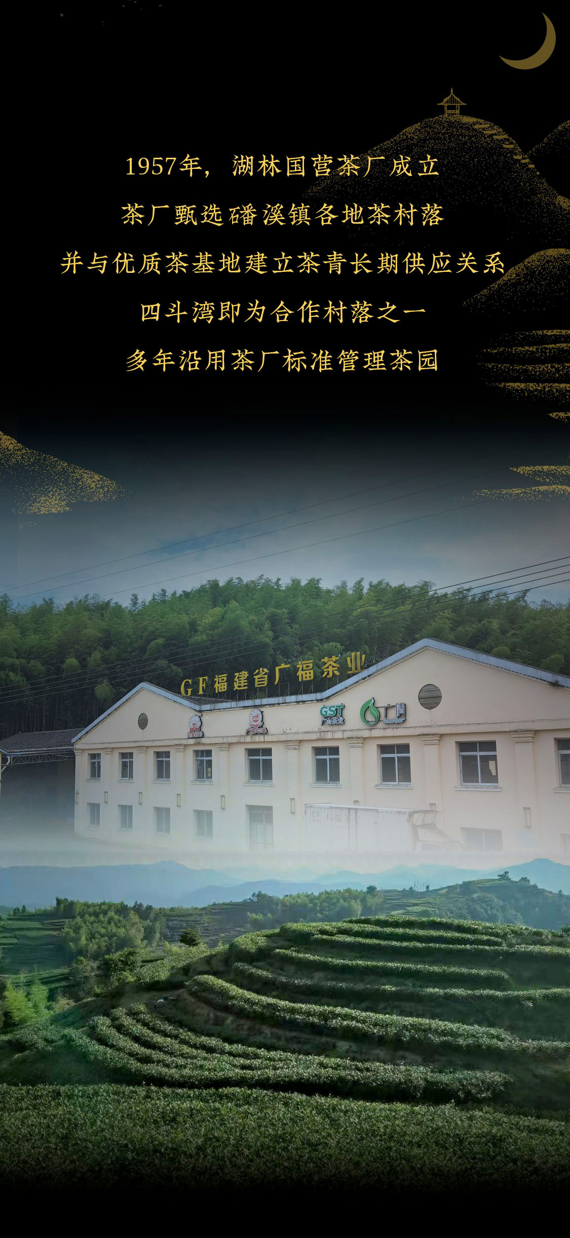 至爱月满湾，源于明星茶村的极致“香郁”|心道测评(图2)