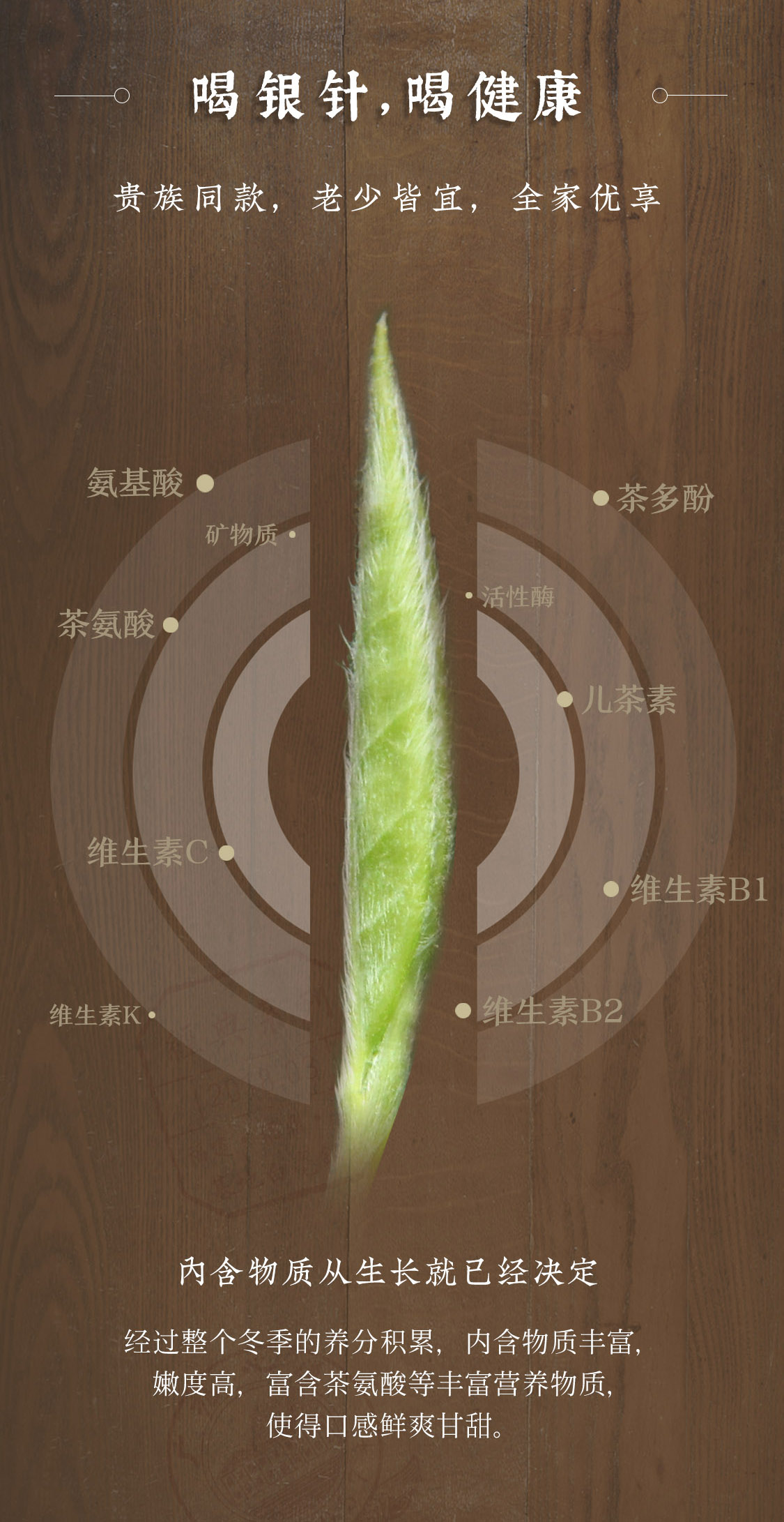 臻藏银针：臻品传家宝，8斤白毫银针，雅韵汝蜜(图3)