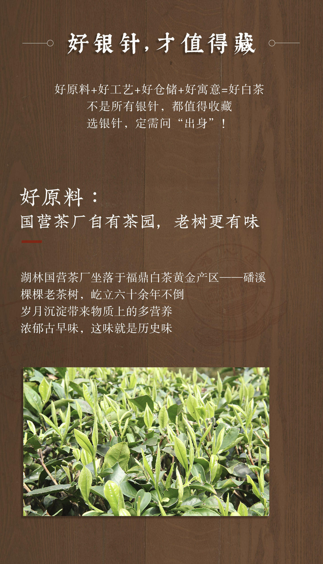 臻藏银针：臻品传家宝，8斤白毫银针，雅韵汝蜜(图5)