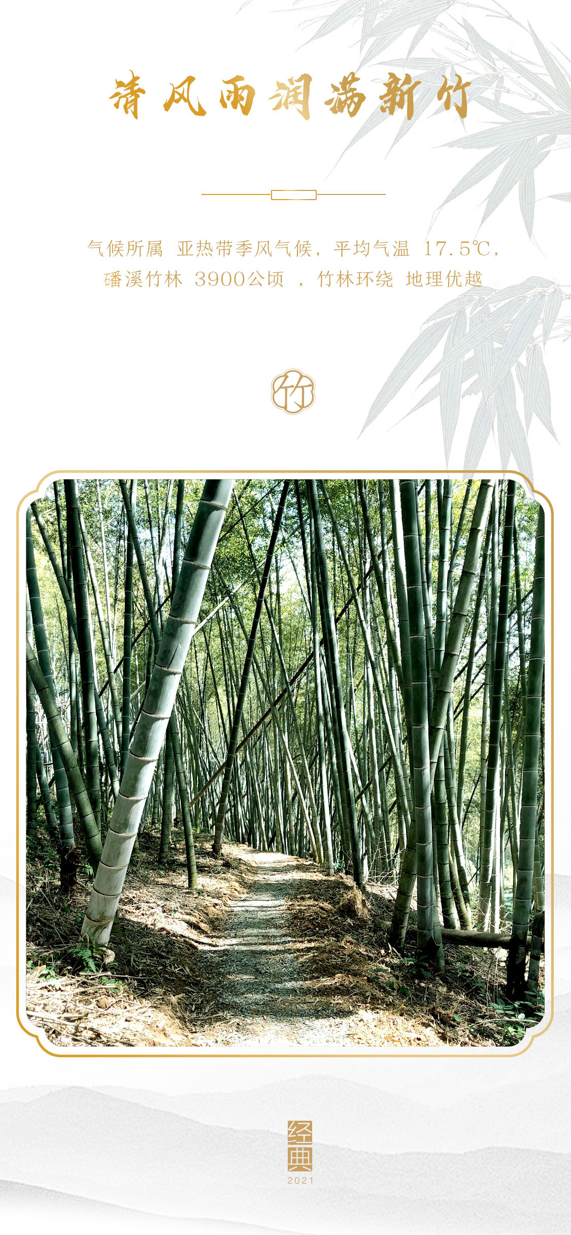 翠竹2021：第四代翠竹，有啥惊喜？(图2)