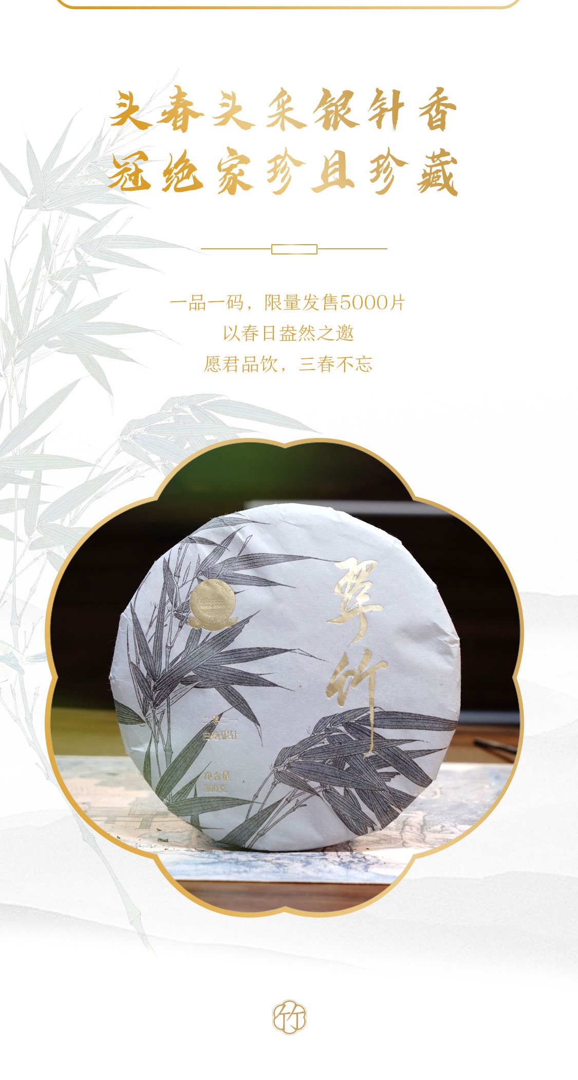 翠竹2021：第四代翠竹，有啥惊喜？(图13)