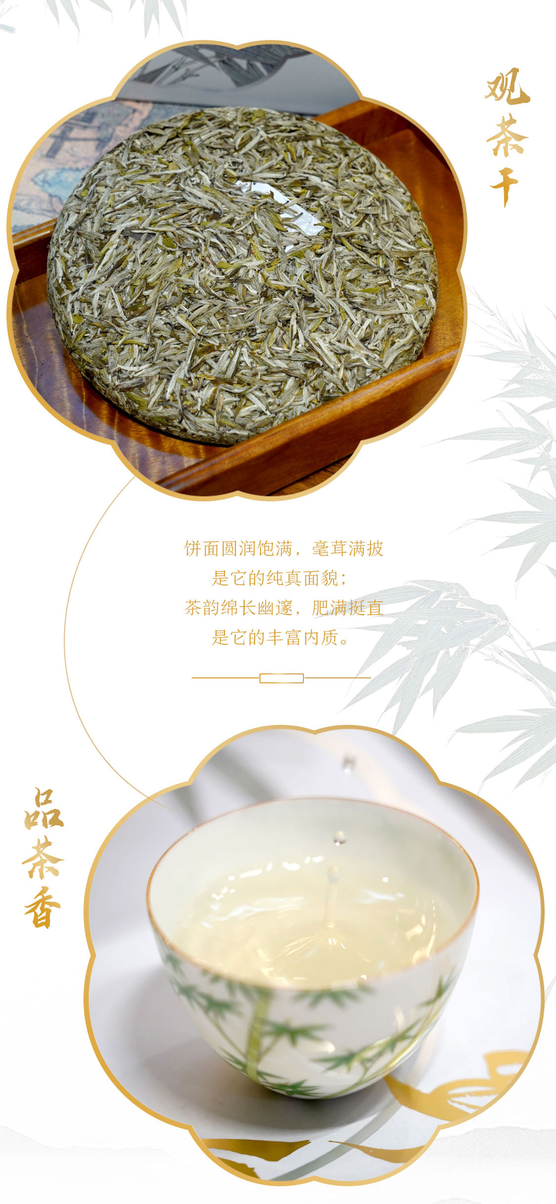 翠竹2021：第四代翠竹，有啥惊喜？(图10)