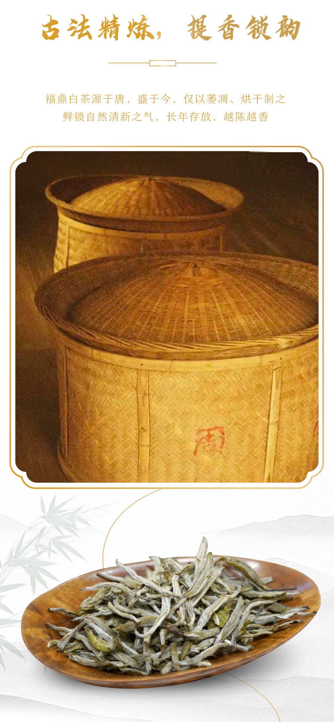 翠竹2021：第四代翠竹，有啥惊喜？(图5)