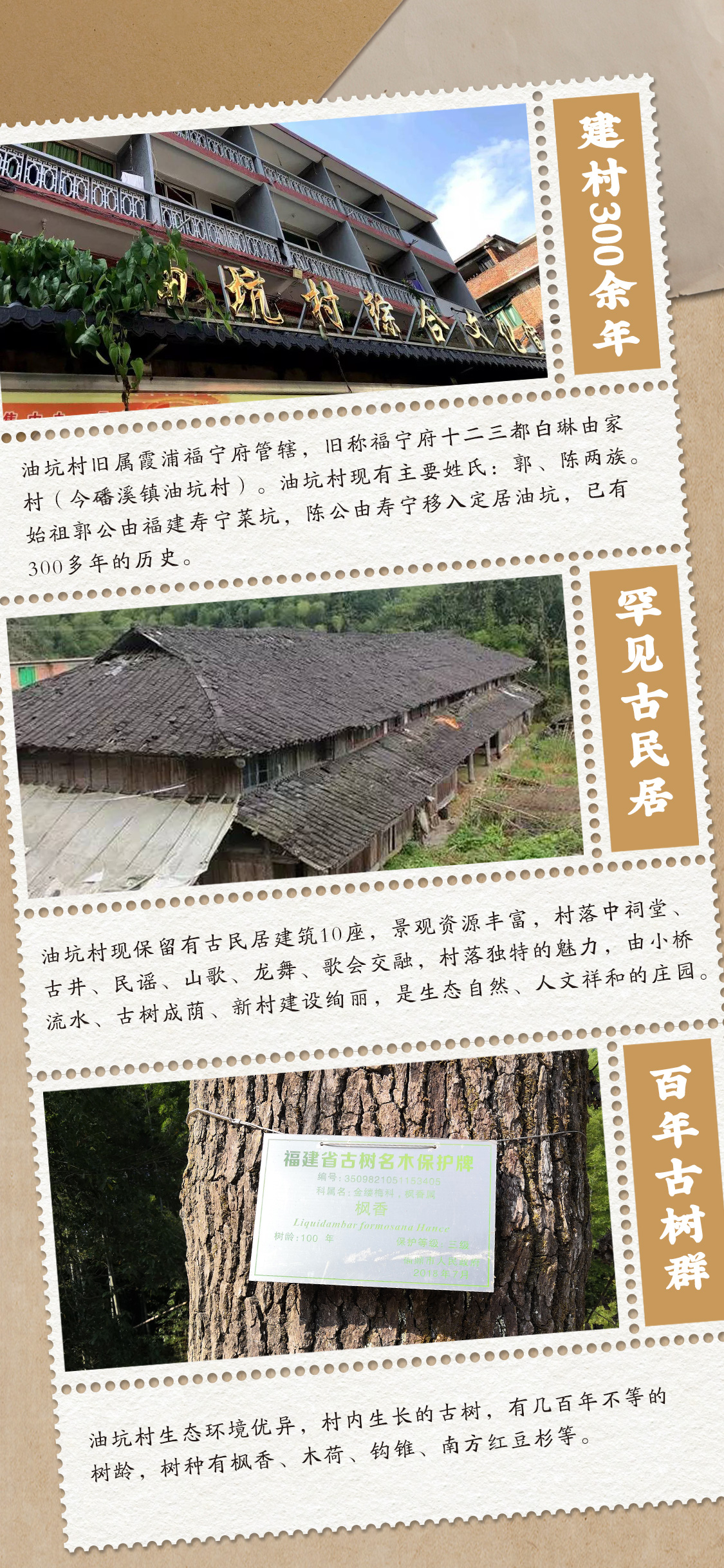 二代仰青天“馥郁”风味，如何惊艳味蕾？(图3)