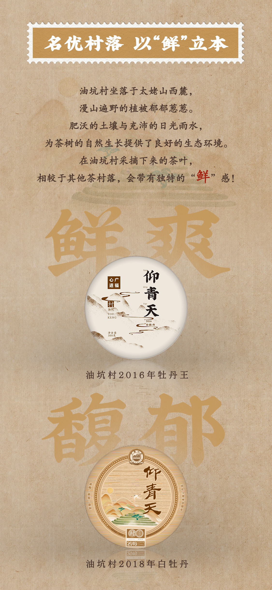 二代仰青天“馥郁”风味，如何惊艳味蕾？(图4)