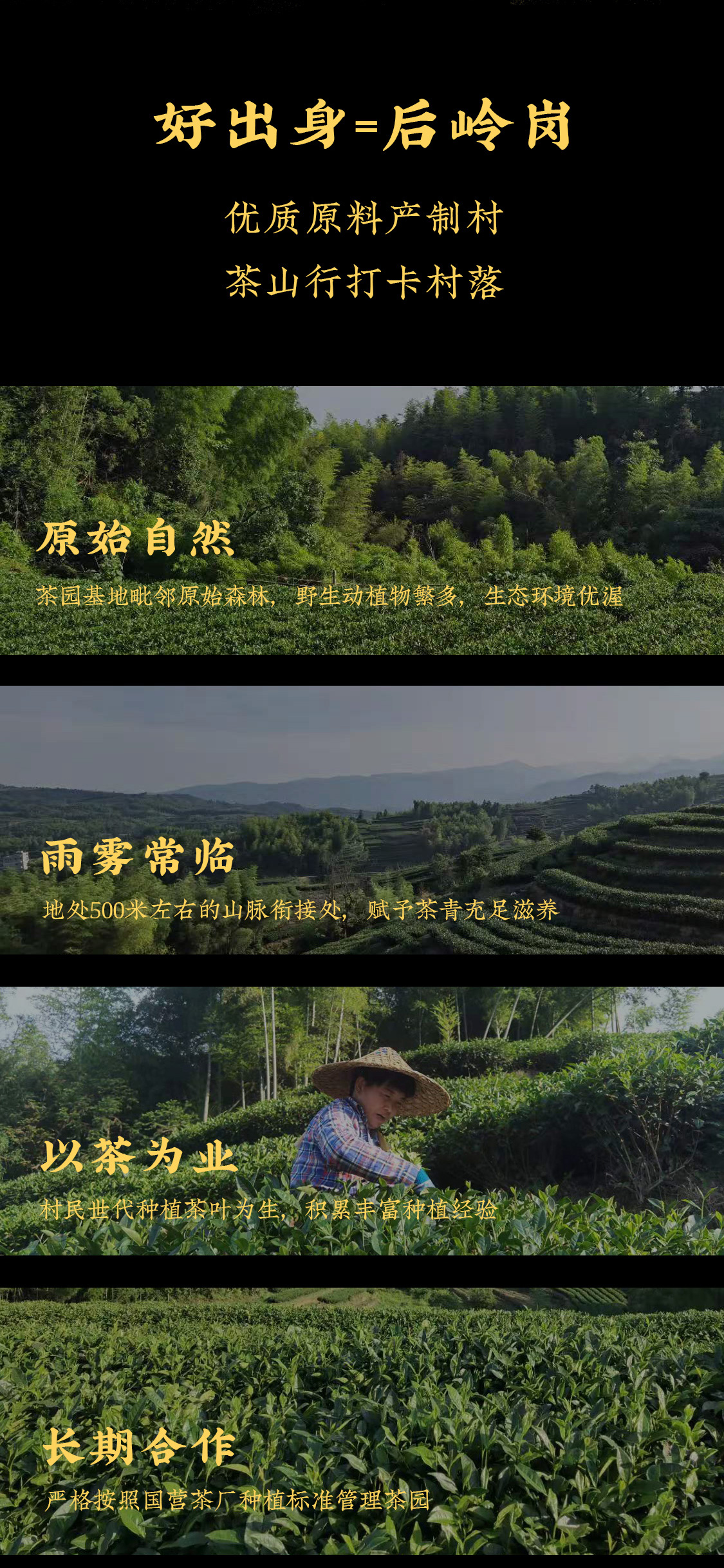 凌云霄(图6)