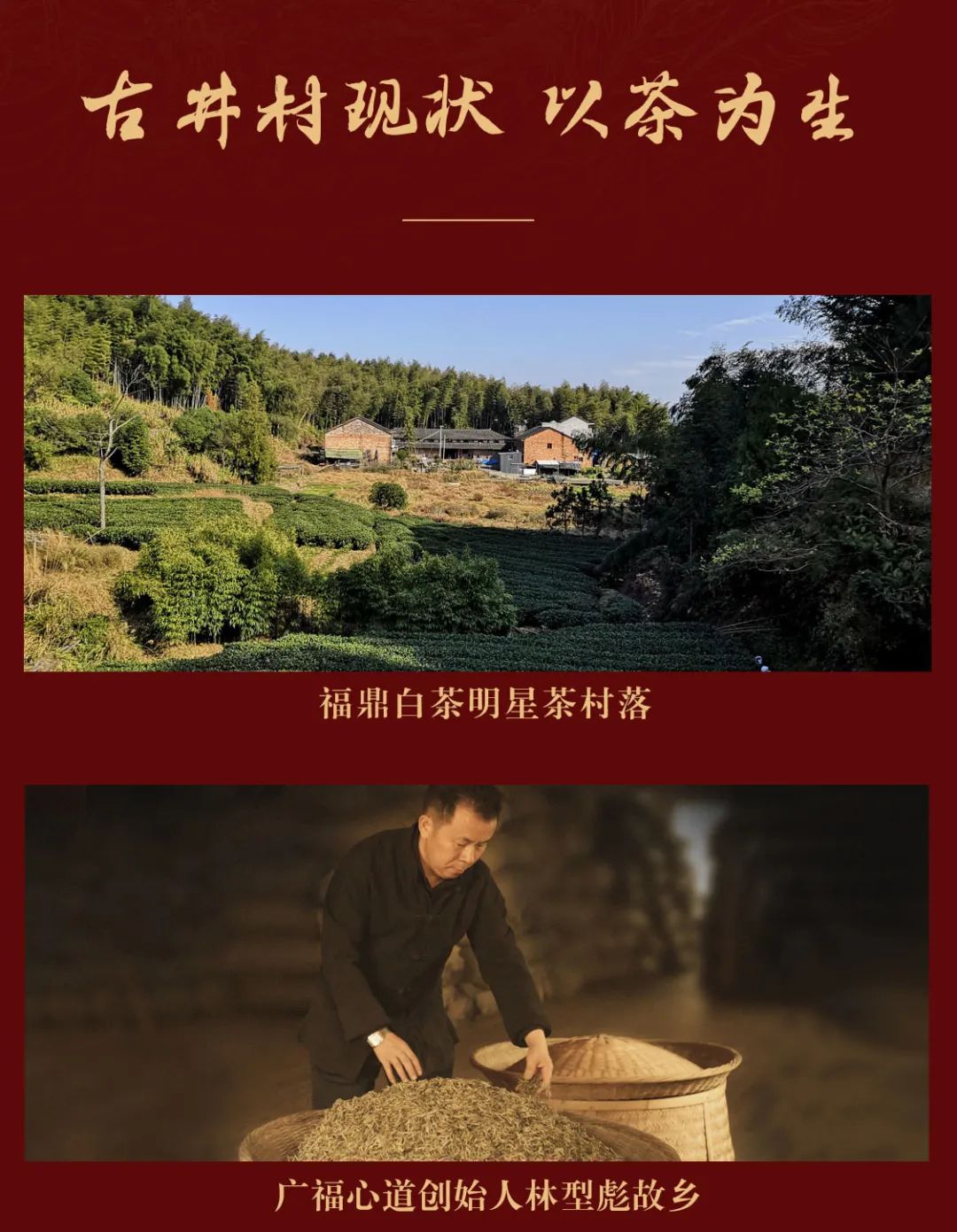 凤瑞今古(图3)