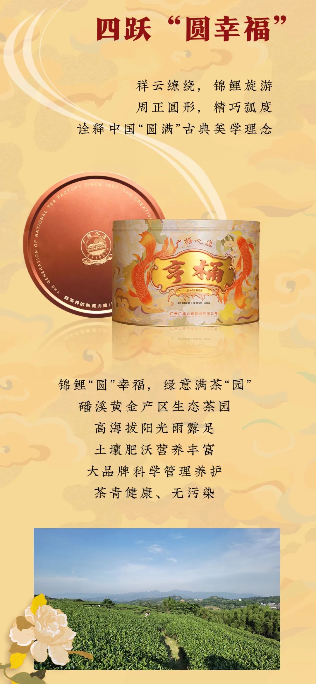 亨桶·锦鲤(图6)