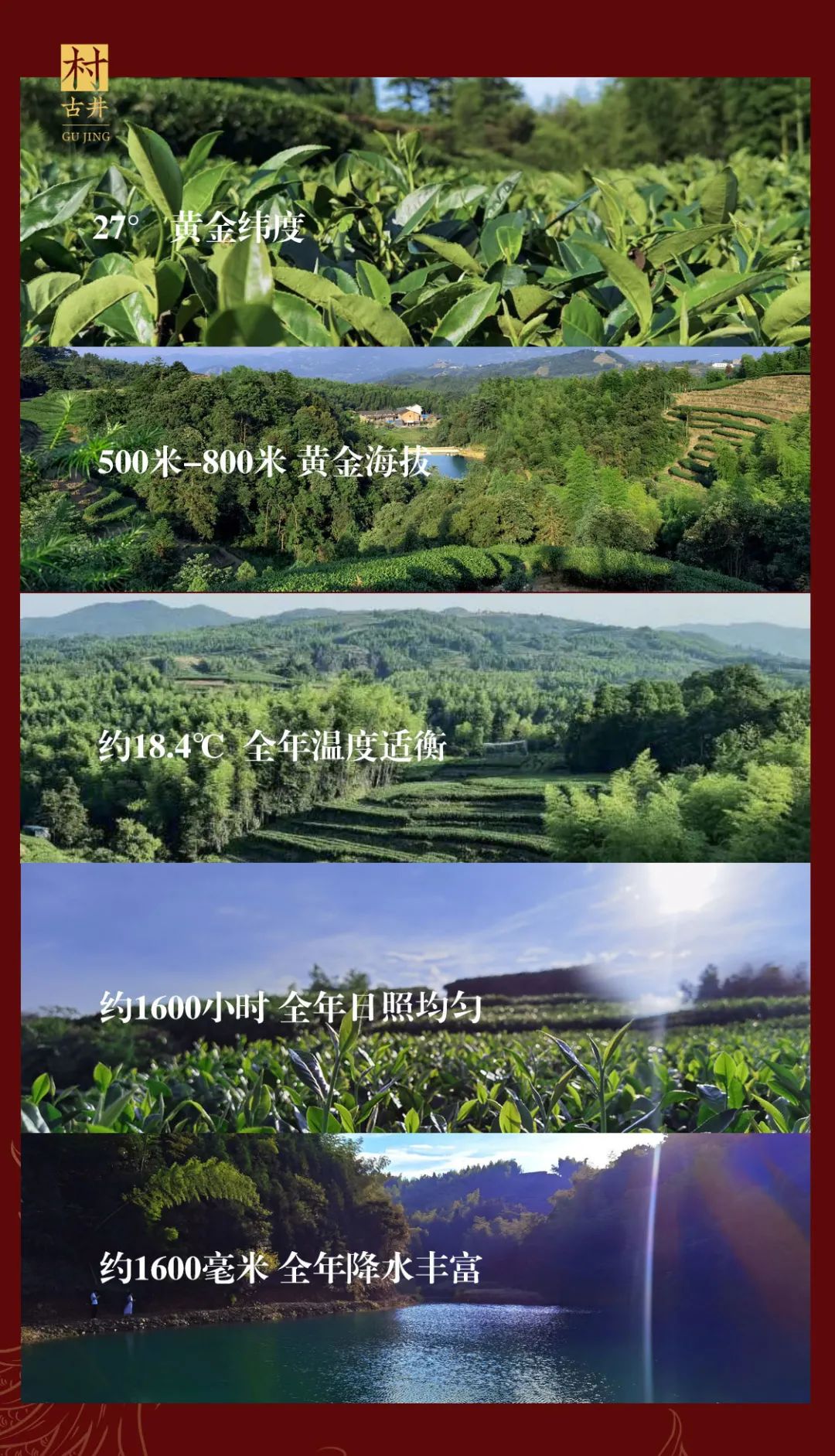 凤瑞今古(图4)