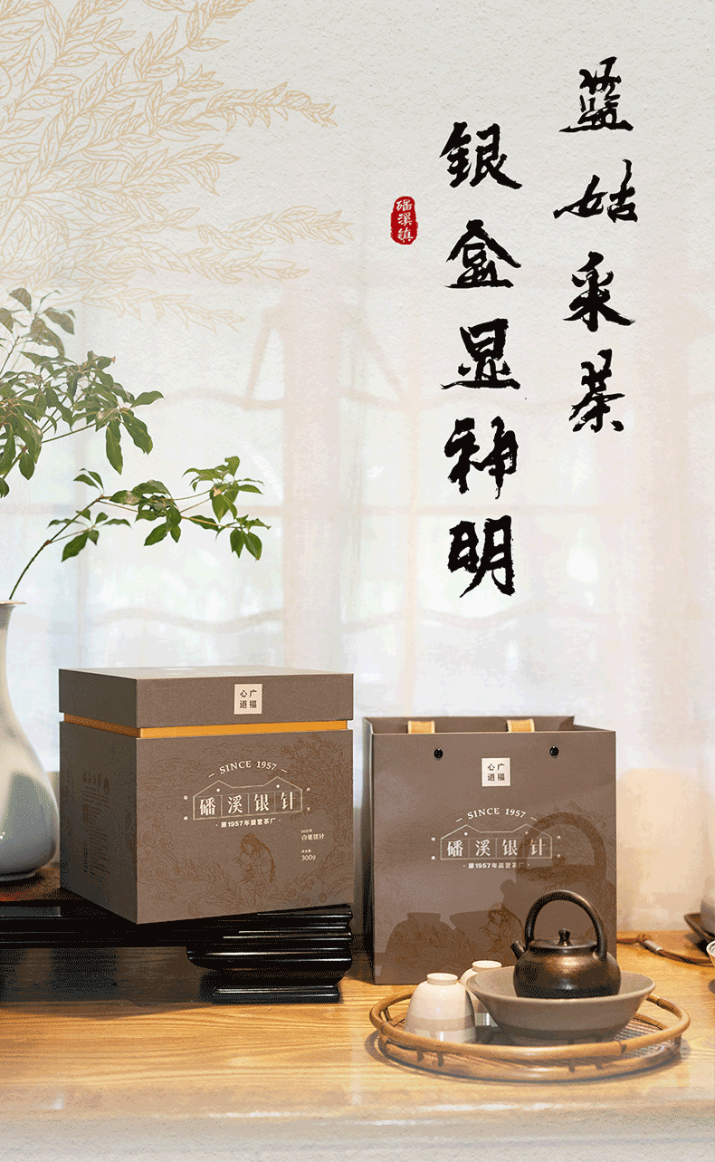 磻溪银针(图18)