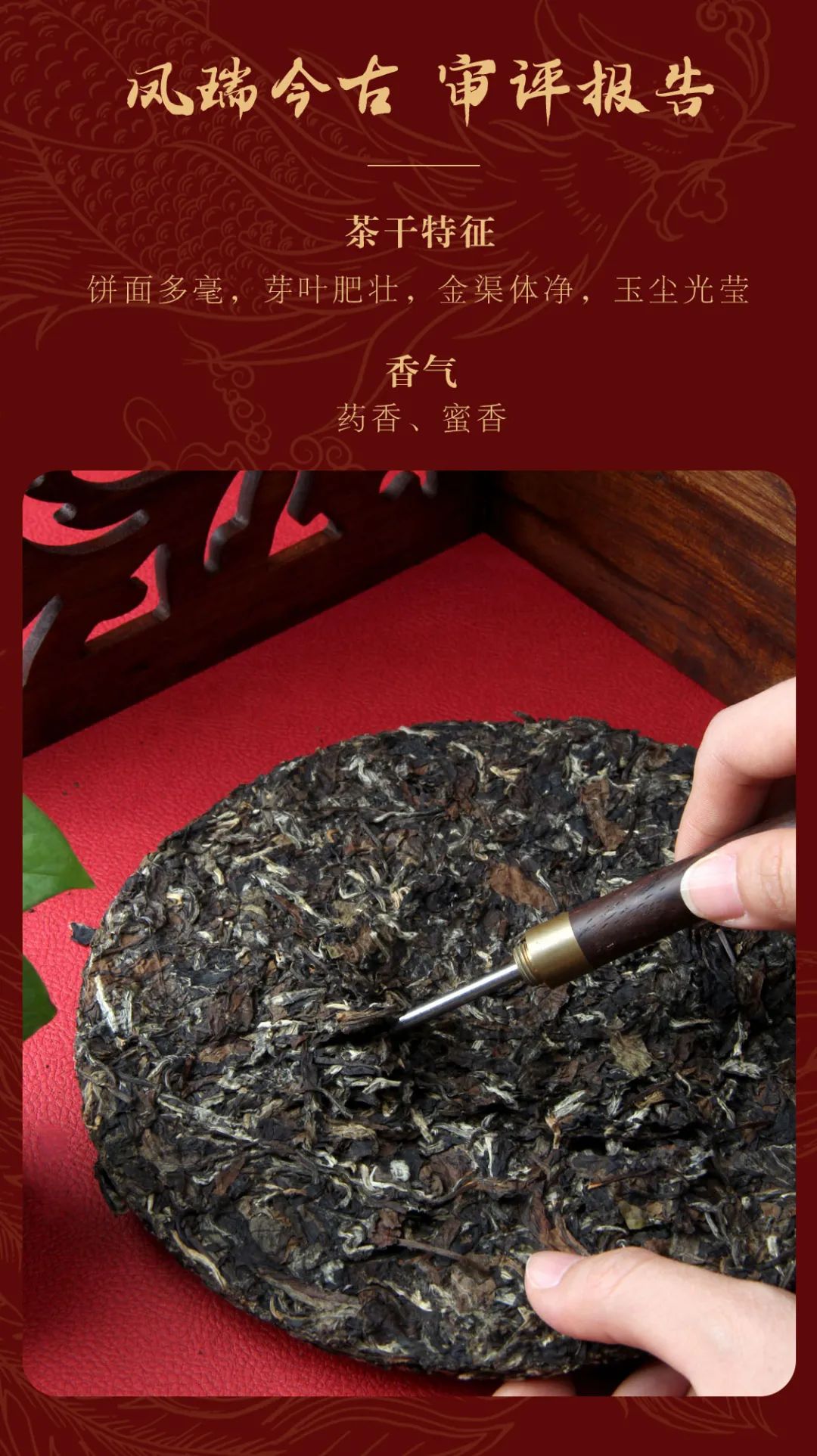 凤瑞今古(图10)