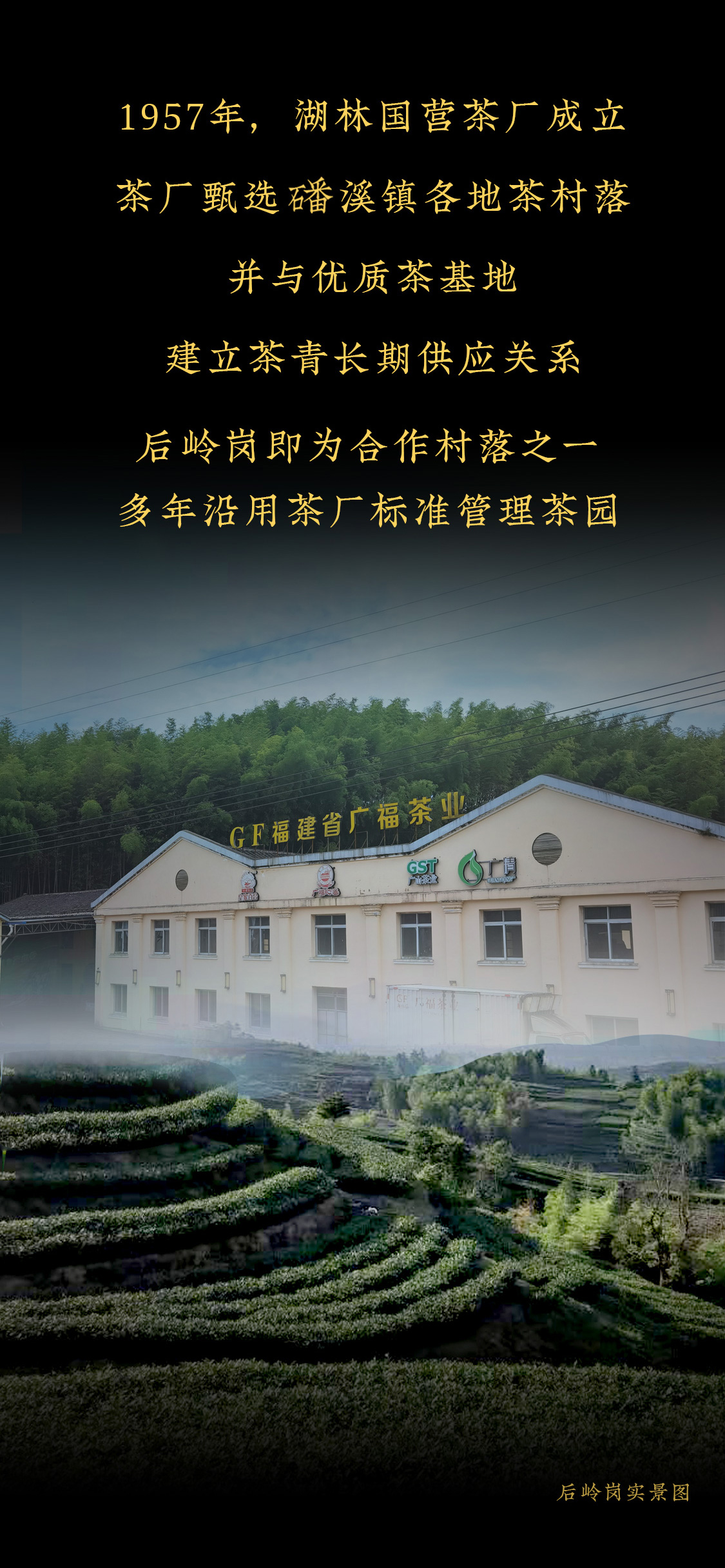 凌云霄(图2)