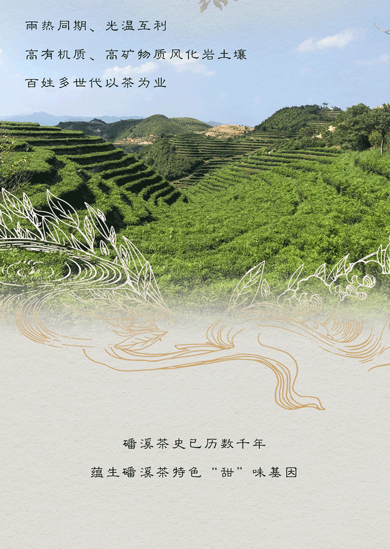 磻溪银针(图5)