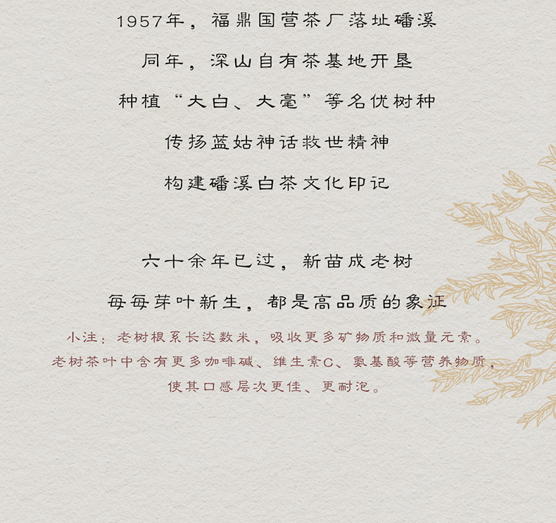 磻溪银针(图7)