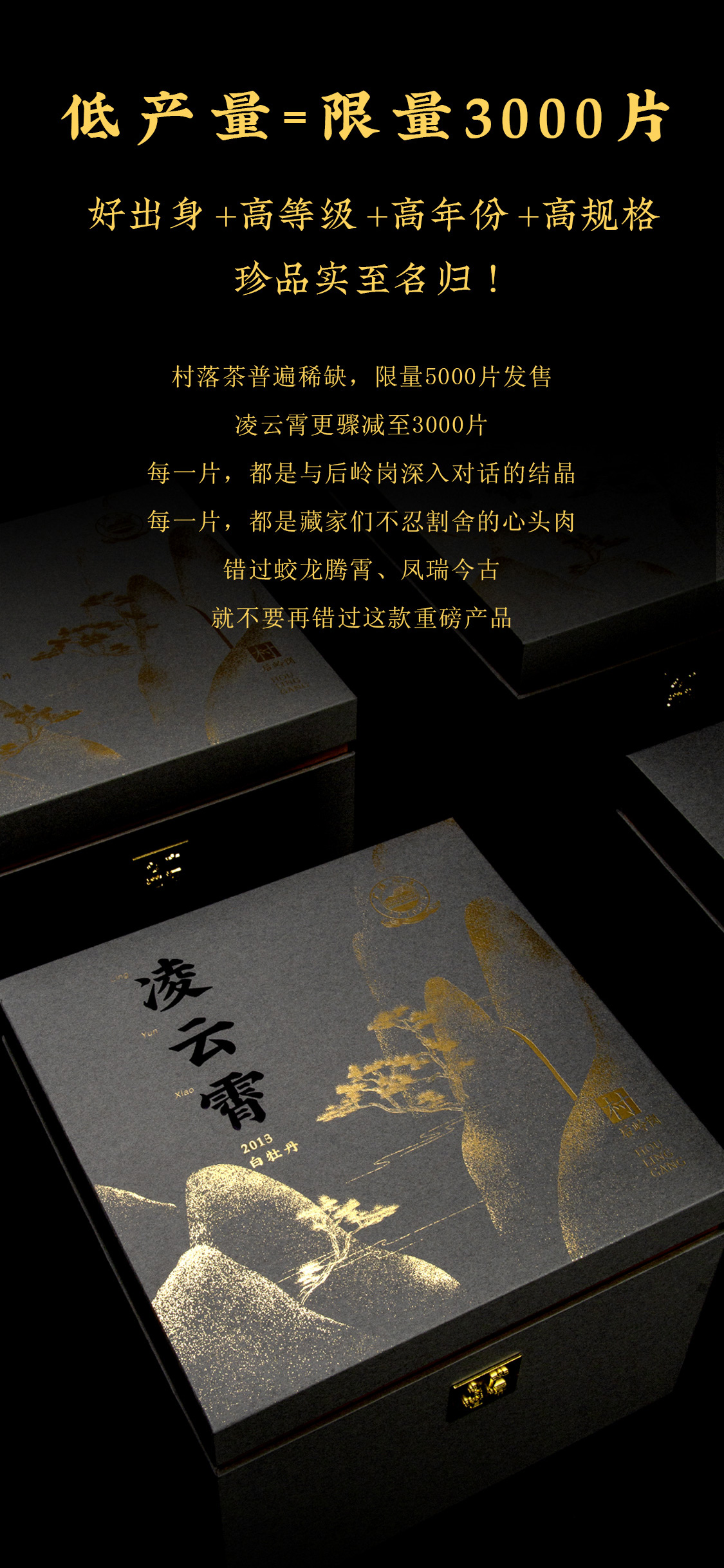 凌云霄(图11)