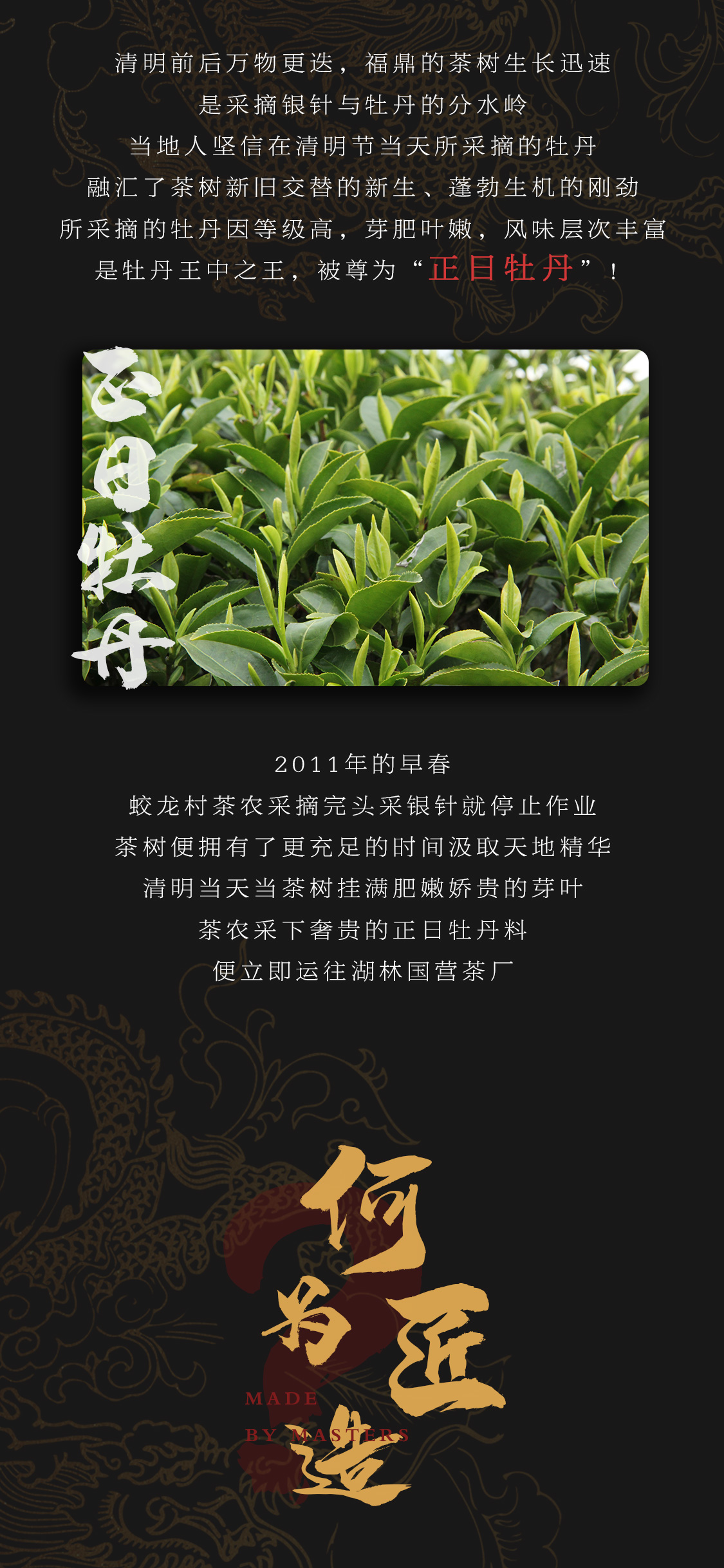 蛟龙腾霄(图5)