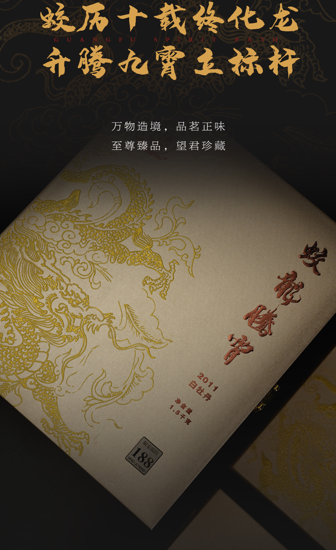 蛟龙腾霄(图12)