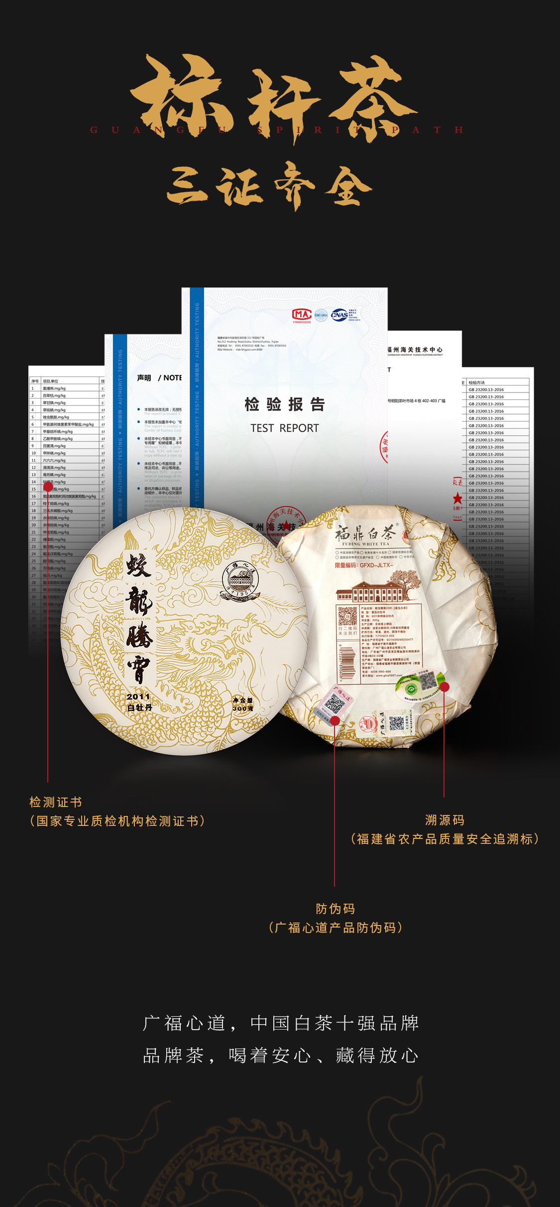 蛟龙腾霄(图11)