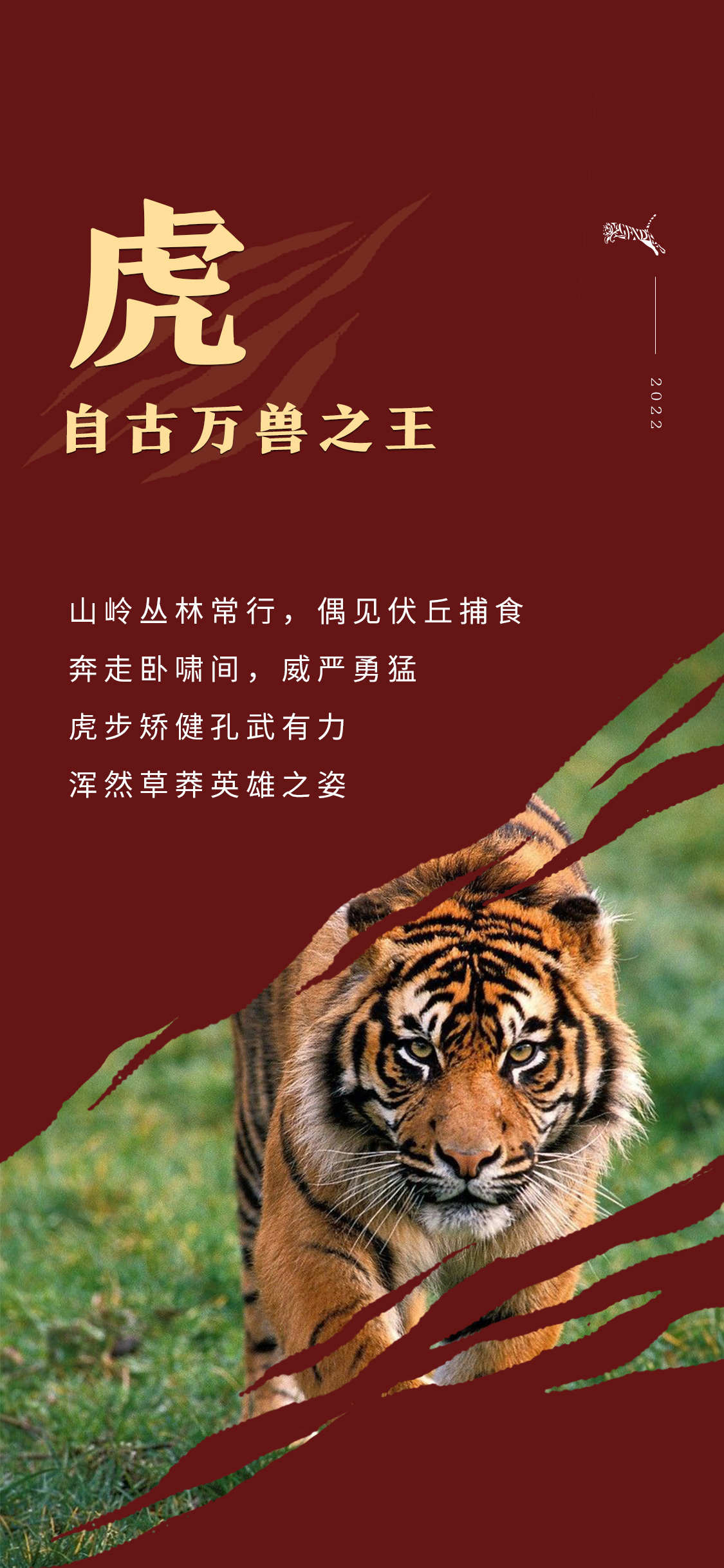 虎啸山林(图2)