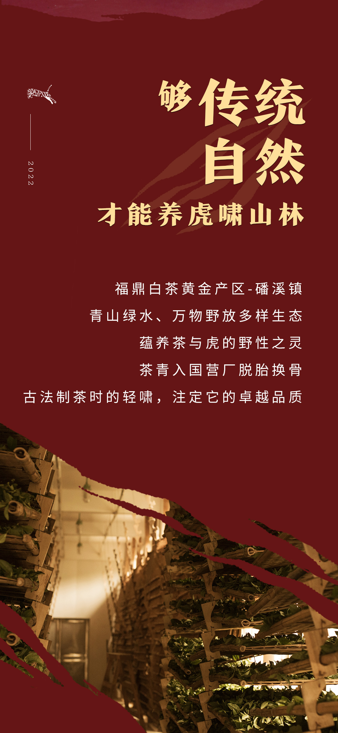 虎啸山林(图7)