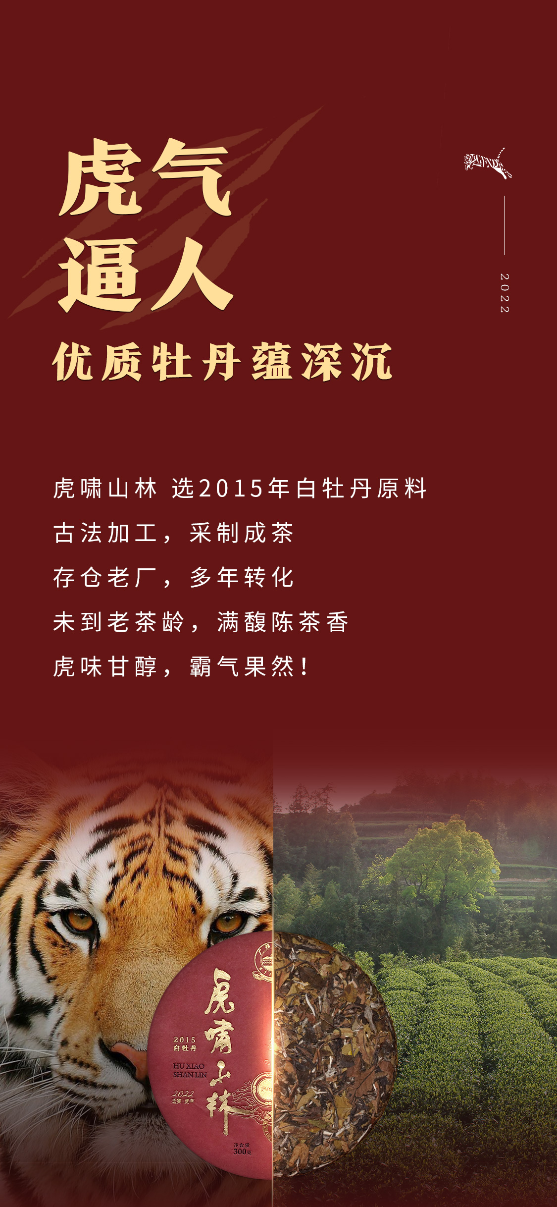 虎啸山林(图4)